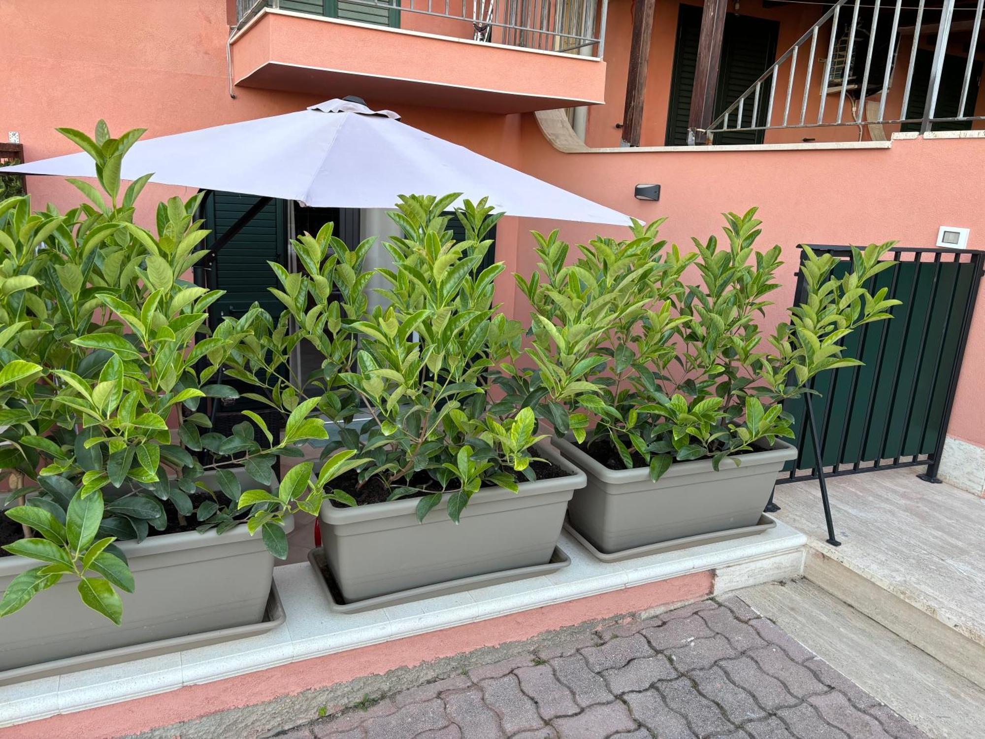 Casa Vacanza Scala Dei Turchi Realmonte Exterior foto